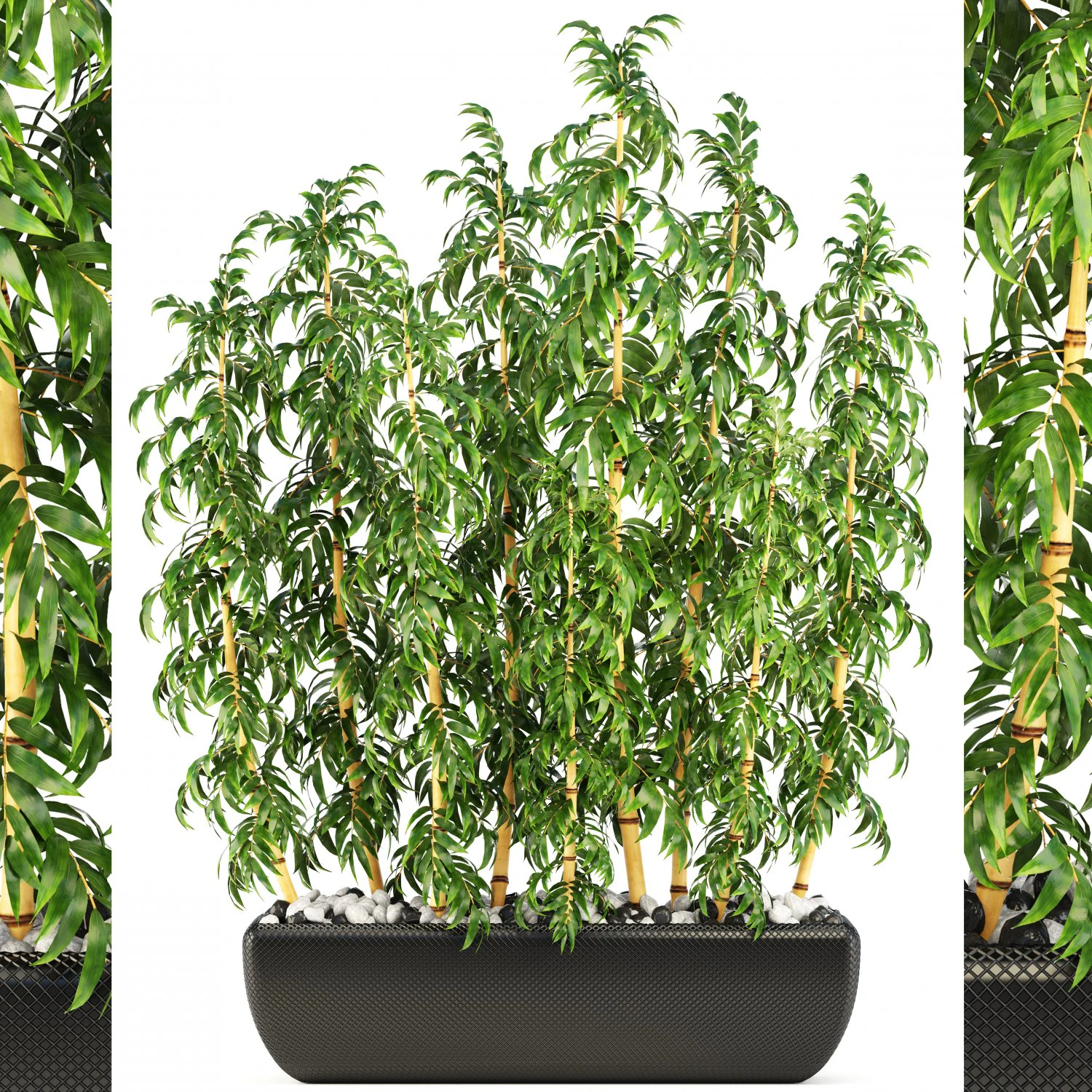 golden bamboo trees 3D Model .c4d .max .obj .3ds .fbx .stl .blend