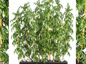 golden bamboo trees 3D Model