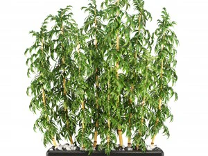 golden bamboo trees 3D Model