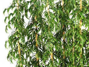 golden bamboo trees 3D Model