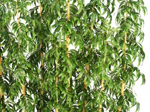 golden bamboo trees 3D Model