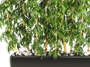 golden bamboo trees 3D Модель