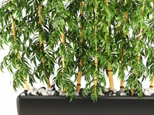 golden bamboo trees 3D Model