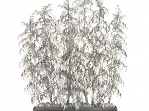 golden bamboo trees 3D Модель