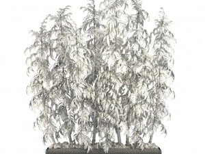 golden bamboo trees 3D Model