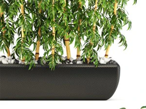 golden bamboo trees 3D Model