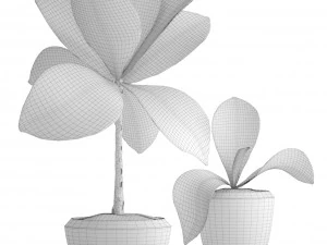 tropical plant shrubs 3D Model