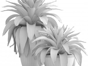tropical plant shrubs Modèle 3D