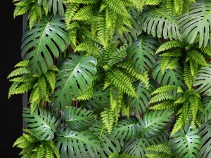 vertical gardening 3D Model