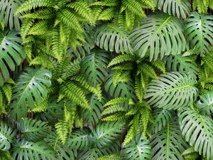 vertical gardening 3D Model