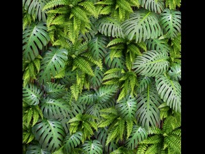 vertical gardening 3D 모델