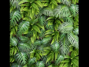 vertical gardening 3D Model