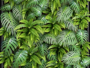 vertical gardening 3D 모델