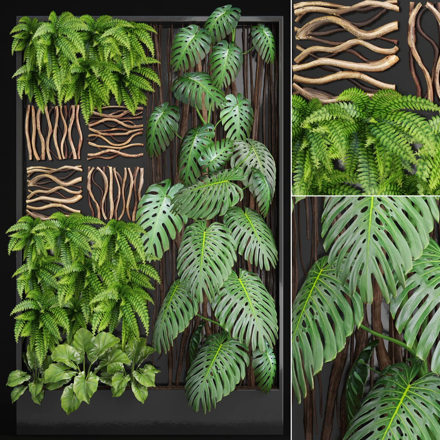 vertical gardening 3D Model .c4d .max .obj .3ds .fbx .stl .blend 