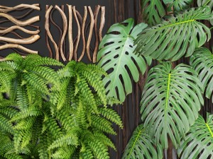 vertical gardening 3D Model