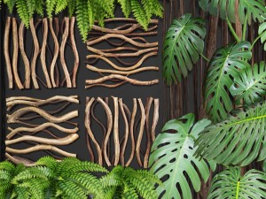 vertical gardening 3D Model