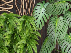 vertical gardening 3D Model