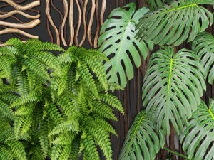 vertical gardening 3D Model