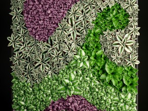 vertical gardening Model 3D