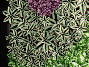 vertical gardening Model 3D