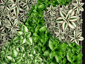 垂直ガーデニング 3Dモデル