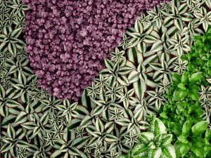 vertical gardening Model 3D
