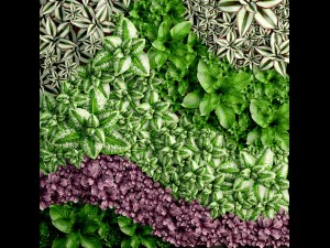 垂直ガーデニング 3Dモデル