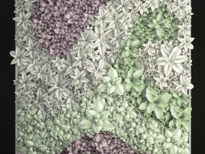 vertical gardening Model 3D