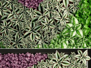 垂直ガーデニング 3Dモデル