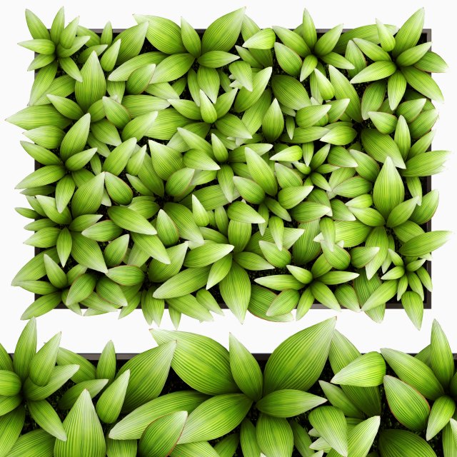 vertical gardening Modello 3D .c4d .max .obj .3ds .fbx .stl .blend 