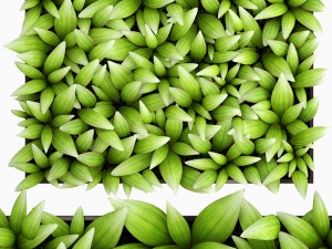 vertical gardening 3Dモデル