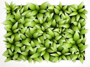вертикальное озеленение 3D Модель