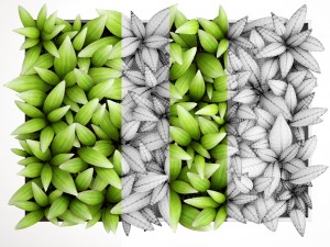 vertical gardening Modello 3D