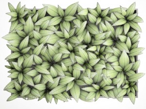 vertical gardening Modello 3D
