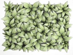 вертикальное озеленение 3D Модель