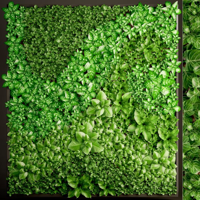 vertical gardening 3D Model .c4d .max .obj .3ds .fbx .stl .blend 