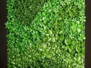 vertical gardening 3D Model