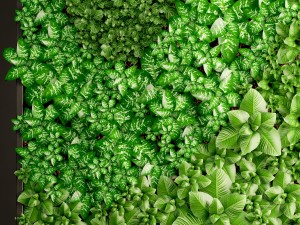 vertical gardening 3D Model