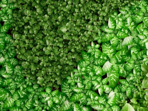 vertical gardening 3D Model