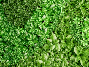 vertical gardening 3D Model