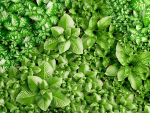vertical gardening 3D Model