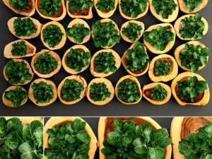 vertical gardening 3D Model
