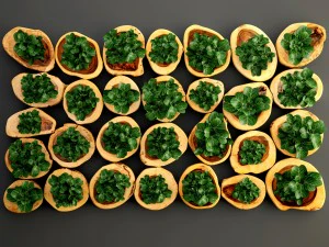 verticaal tuinieren 3D Model