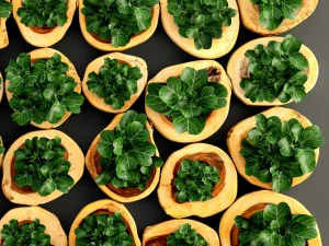 verticaal tuinieren 3D Model