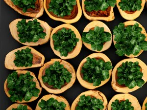 verticaal tuinieren 3D Model