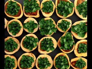 verticaal tuinieren 3D Model