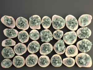 vertical gardening 3D Model