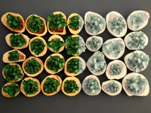 verticaal tuinieren 3D Model