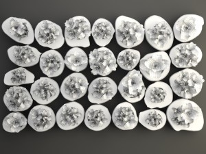 vertical gardening 3D Model
