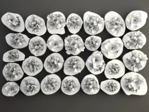 verticaal tuinieren 3D Model